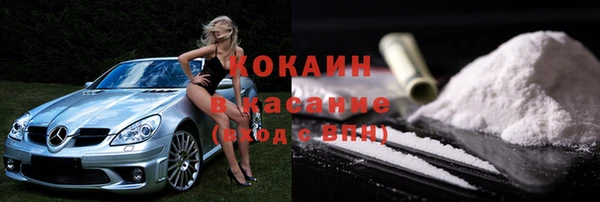 трава Бородино