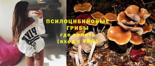 МДПВ Бугульма