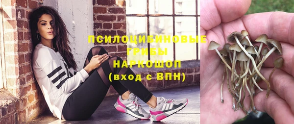 МДПВ Бугульма