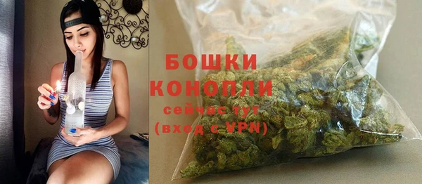 трава Бородино