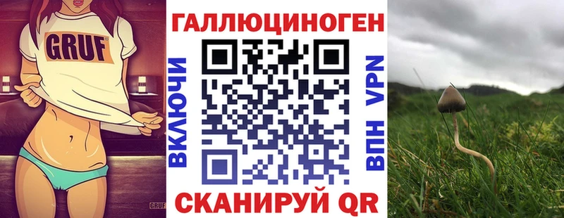 Псилоцибиновые грибы мицелий Миньяр