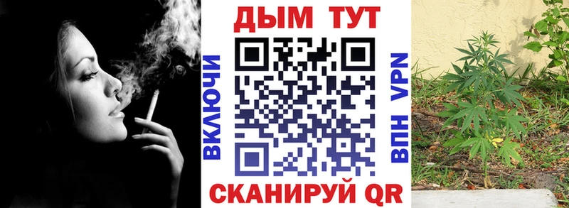 купить   Миньяр  Шишки марихуана VHQ 